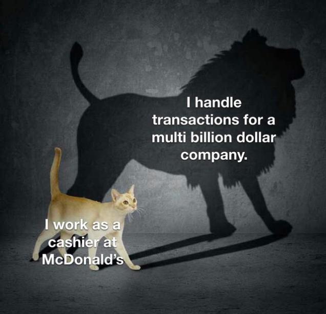 Forty Memes For When You Need A Distraction