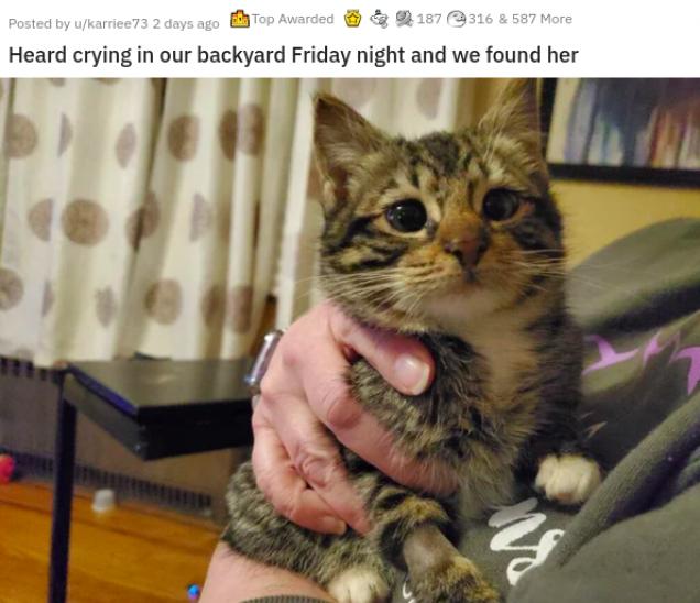 Cute Animal Pics That Made Us Go "Aww"