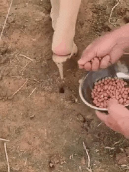 36 gif funny pictures, so you can have fun all day