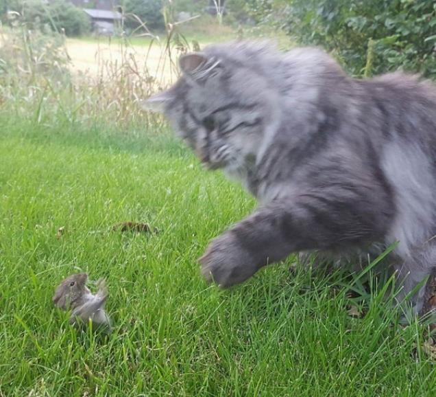 Pictures Taken At The Right Time (38pic)