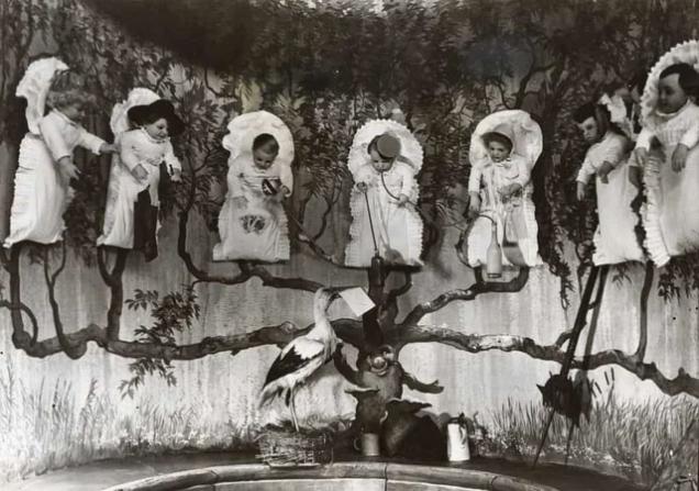 20 Horrific Images That You'll Never Forget