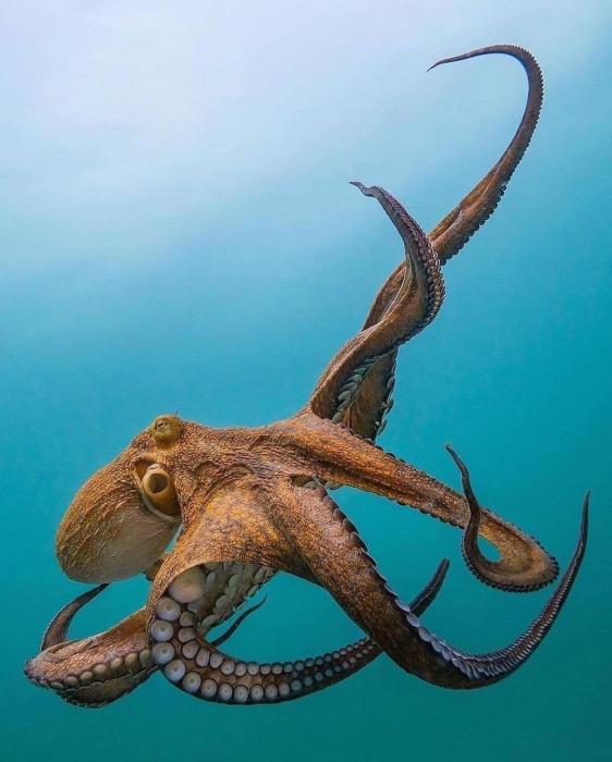 images that can surprise you or inspire you to a book or movie