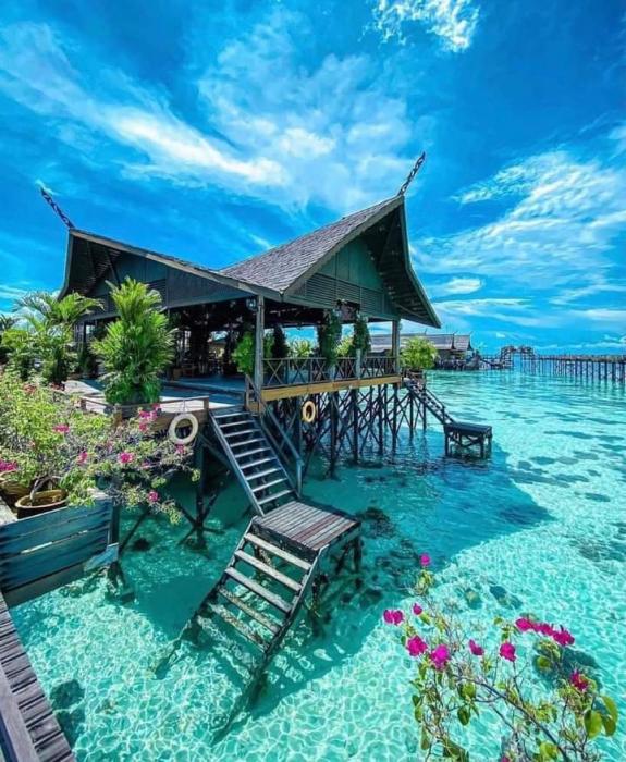 memes and random pics