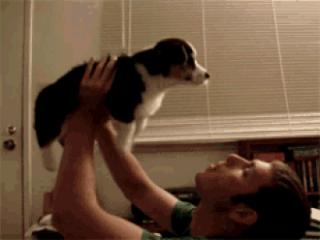 cute animal pictures