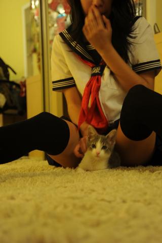 Kilgore's Nocturnal Exposition