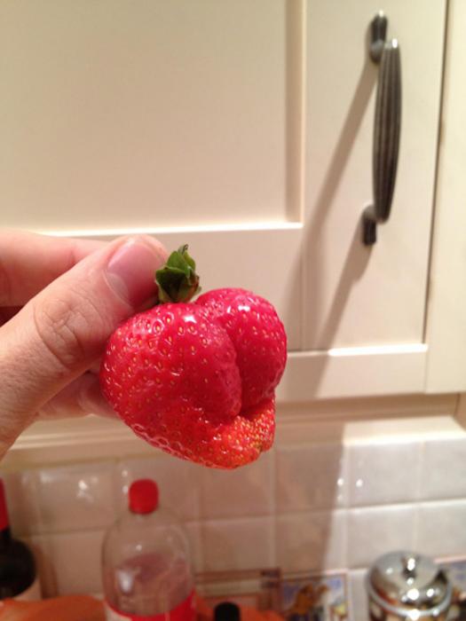 Kilgore's Nocturnal Exposition