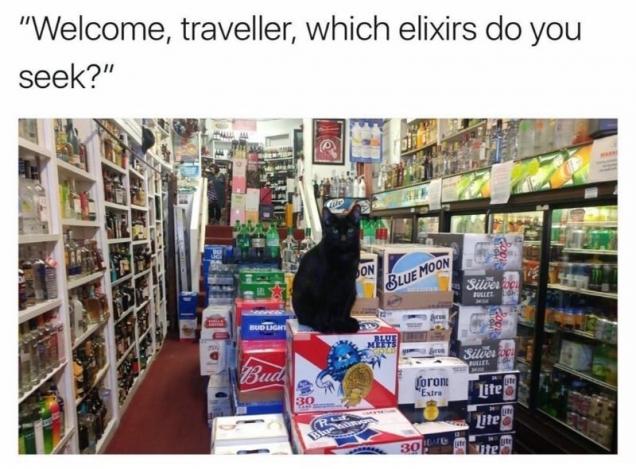 32 Crazy DnD Memes That Will Give You A Geekasm