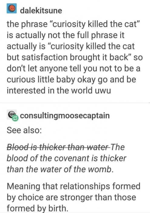 Turns Out That The Full Versions Of Popular Sayings Actually Turns Them Upside Down