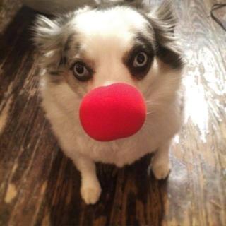 Randomness of Nothing