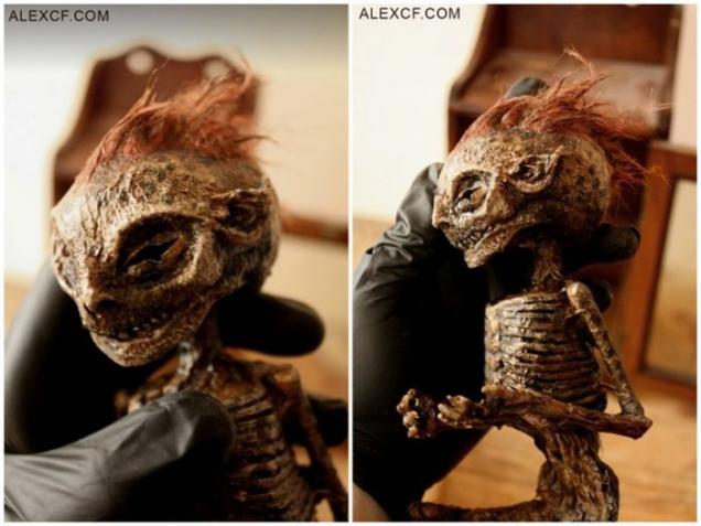 Freaky Creatures Skeletal Bodies Found In Old London Basement