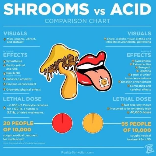 29 Photos Overflowing With Knowledge