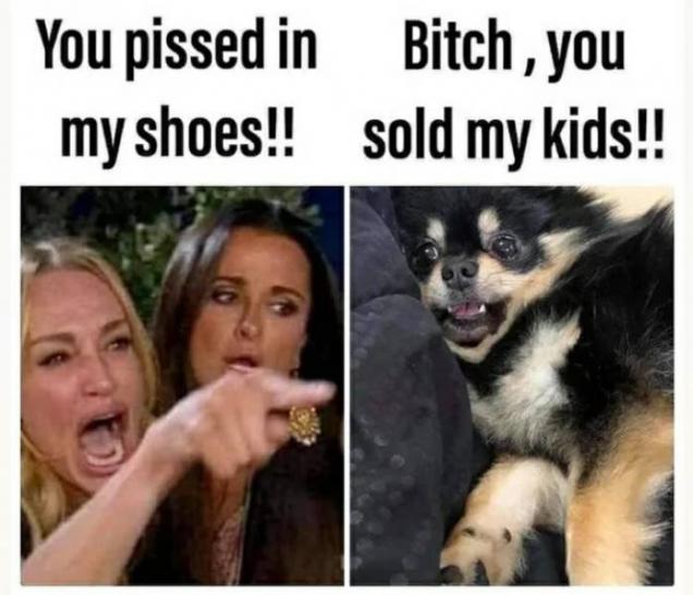 40 Funny Memes To Get You Through The Day