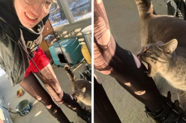 20 Perfectly Timed Photos