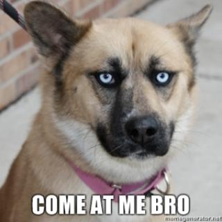 Come at me Bros