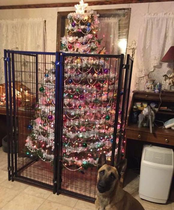 20 Genius Examples Of People Pet Proofing Their Christmas Trees