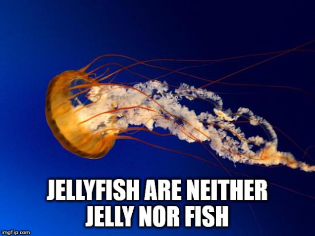 40 Shower Thoughts for your Day