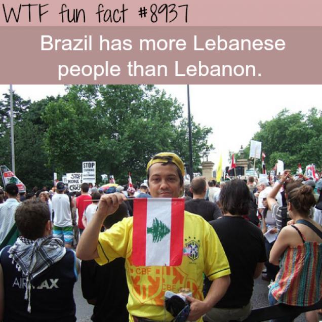 18 Fun Facts for your Trivial Pursuits