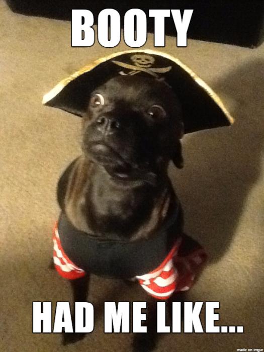 A Cargo o' Pirate Facts and Memes Fer Ye Scurvy Seadogs Gallery