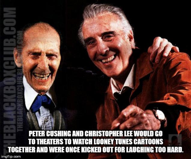 40 Fun Facts to Feed Your Head