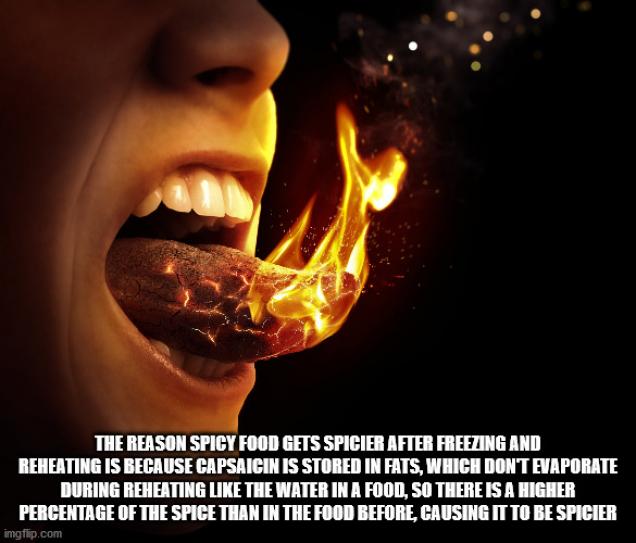 40 Facts More Interesting And Educational Than A Zoom Class