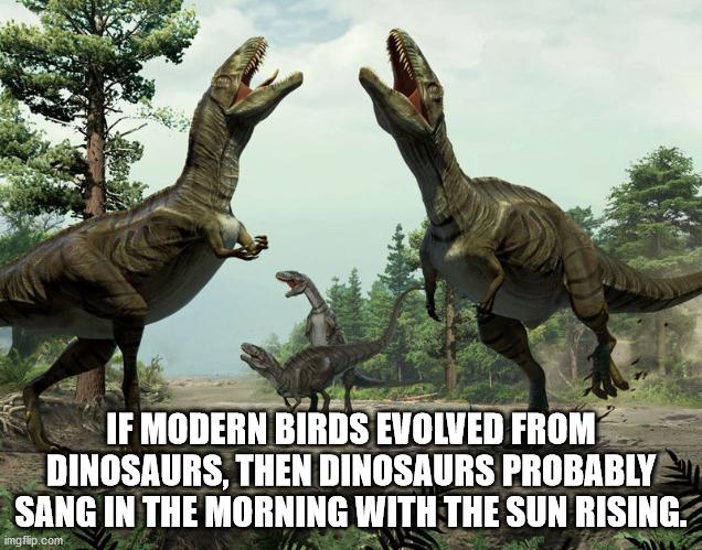 Shower Thoughts for Thursday