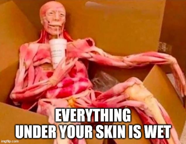 Shower Thoughts to Hose Down Boredom