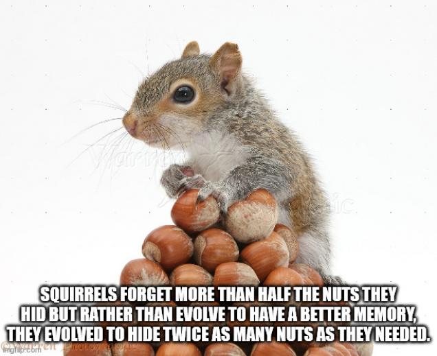 Shower Thoughts For You To Soak In