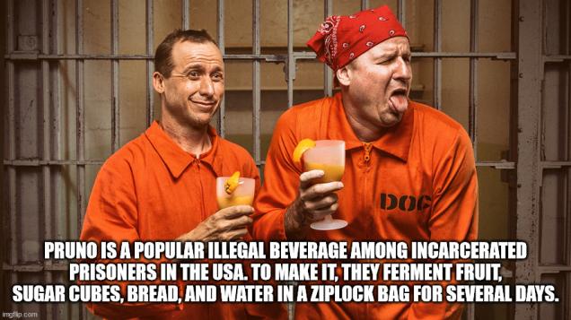 40 Fun Facts to Fit In Your Head