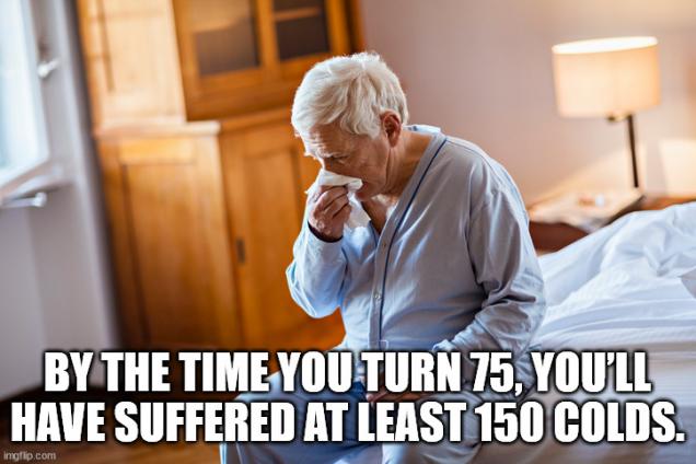 A number of knowledge nuggets