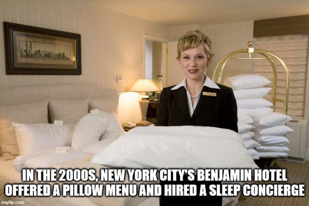 Fun Facts to Feed Your Need