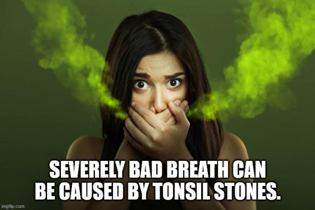 Fun Facts to Tuck In Your Brain Wrinkles