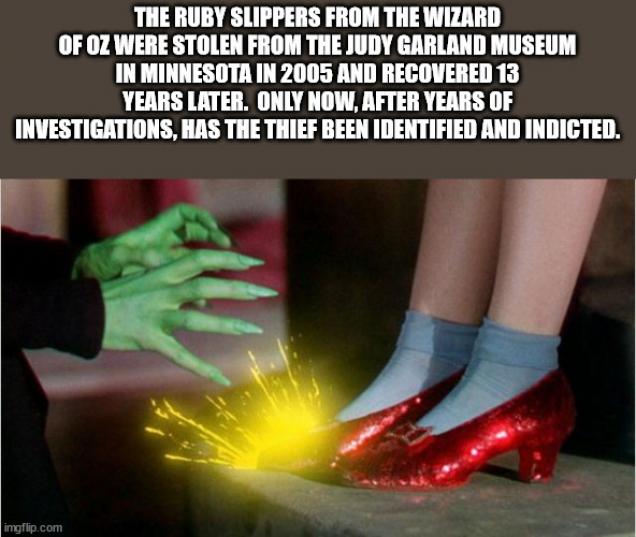 40 Fun Facts to Fit In Your Head