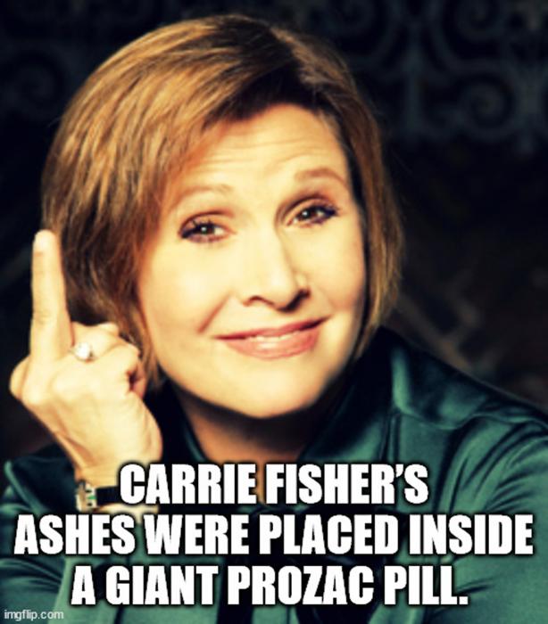 Nuggets of Knowledge For Your Noggin to Nom