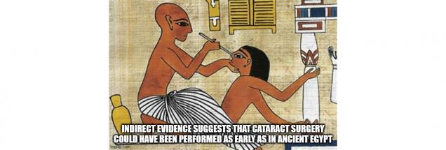 Fast Food For Your Brain