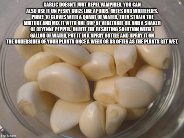 10 Life Hacks to Give You A Leg Up