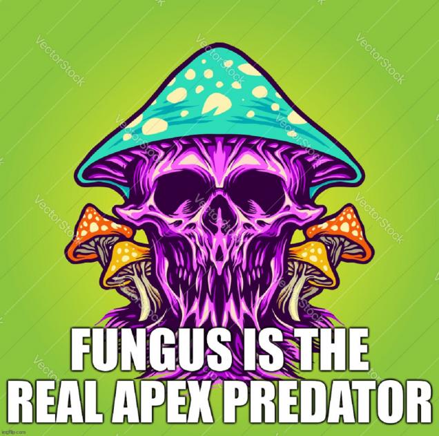 20 Shower Thoughts to Drip Dry With