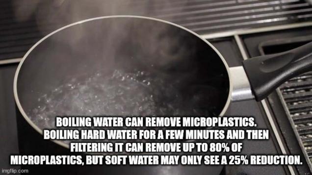 40 Knowledge Nuggets For Your Noggin to Nom