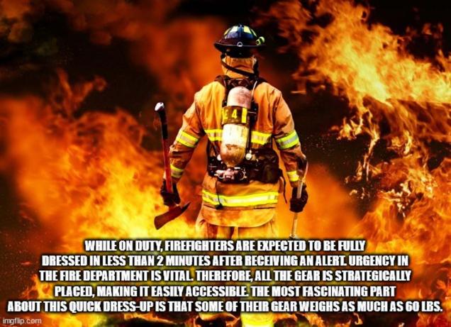 An Order of Knowledge Nuggets to Feed Your Need