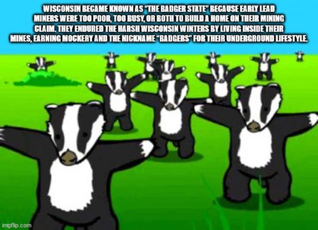 Knowledge Nuggets to Nourish Your Neurons