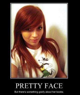 random pics from my adventures through the internet