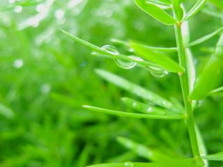 Detailed photographs from a newbie photographer