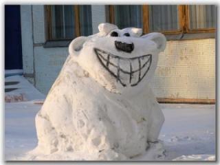 Daily Funny Pictures