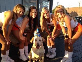 Welcome To The Internet