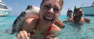 Welcome To The Internet