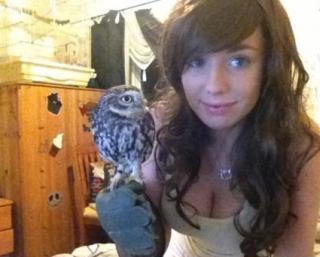 Welcome To The Internet