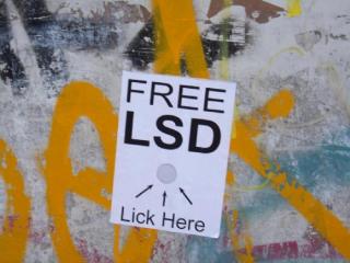 Ward's Random Picture Dump