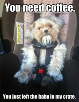 Ward's Random Picture Dump