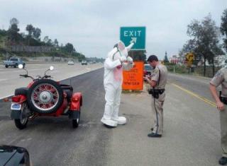 Ward's Random Picture Dump