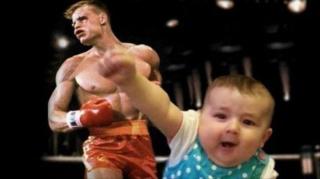 Ward's Random Picture Dump