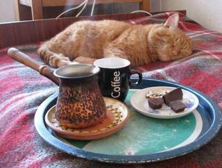 Ward's Random Picture Dump